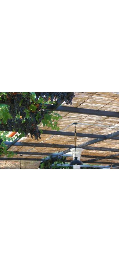 Nacional Μοτέλ Τρέμπινιε Εξωτερικό φωτογραφία